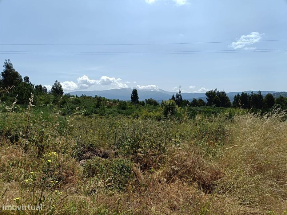 Quinta  Venda em Lagares,Oliveira do Hospital
