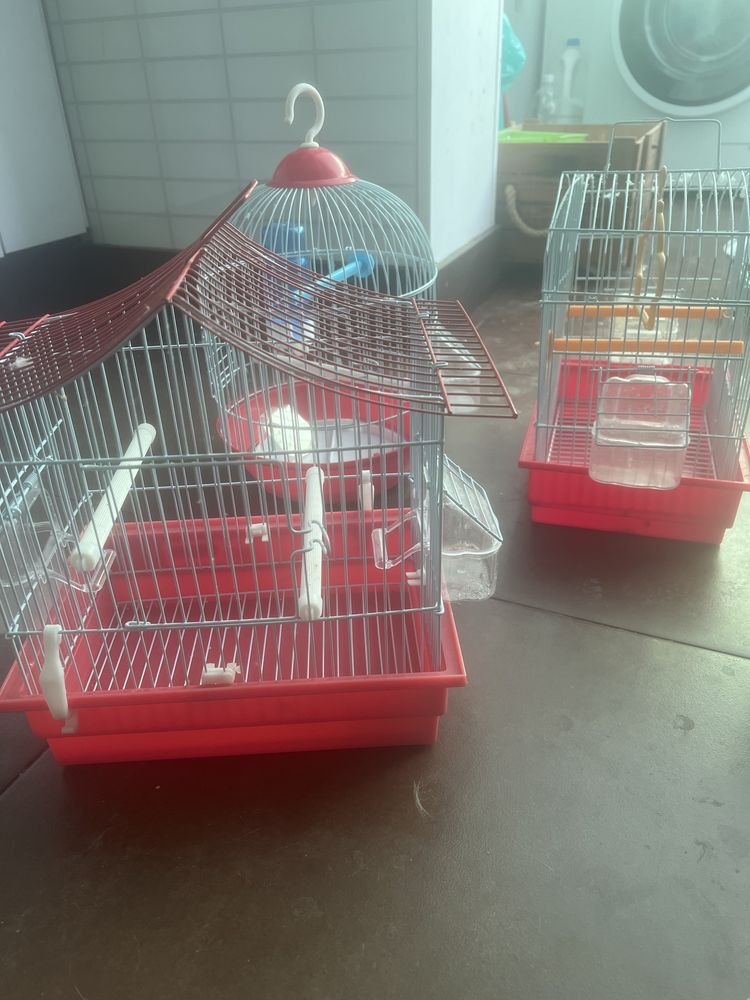 3 gaiolas e 1 ninho