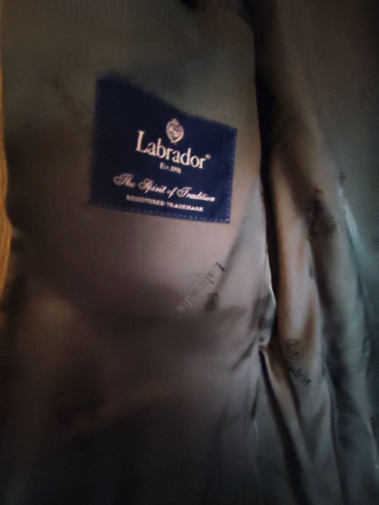 Blazer Labrador Veludo