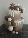 Tort do sesji brazowy