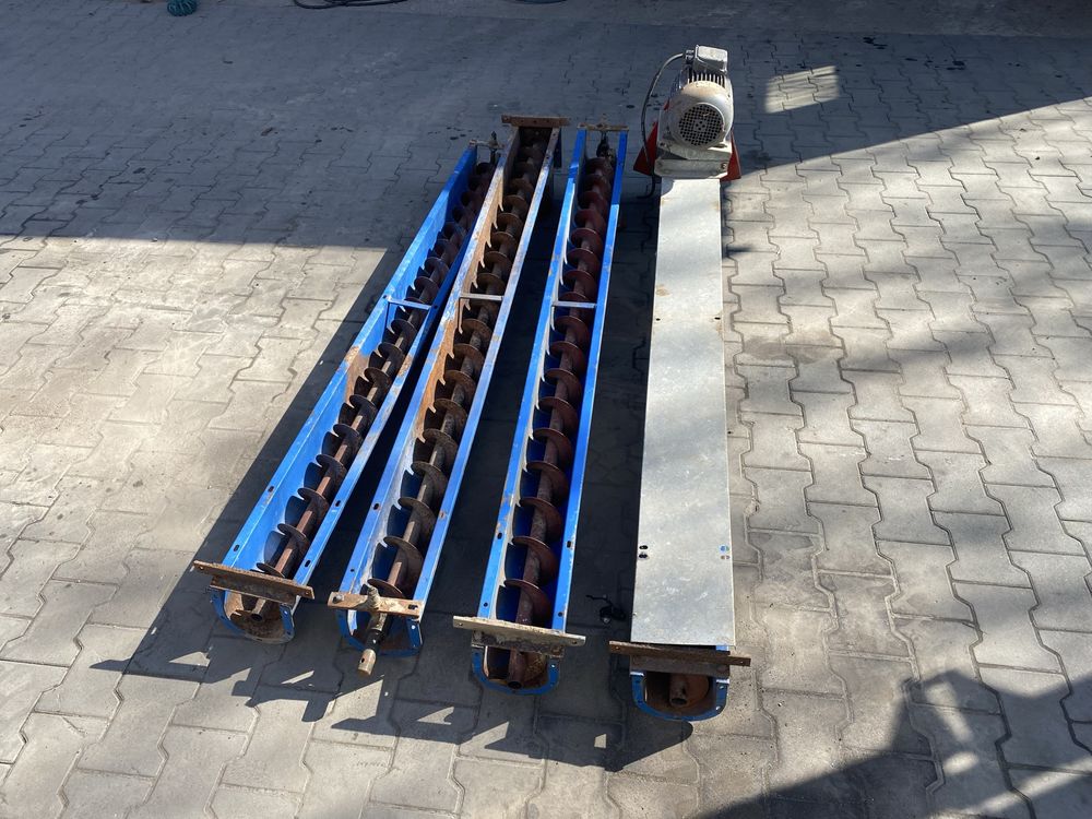 Żmijka korytowa Kongskilde 8 m