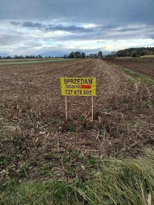 Sprzedam 1,24ha ziemi rolnej, Wola Niedźwiedzia przy A2