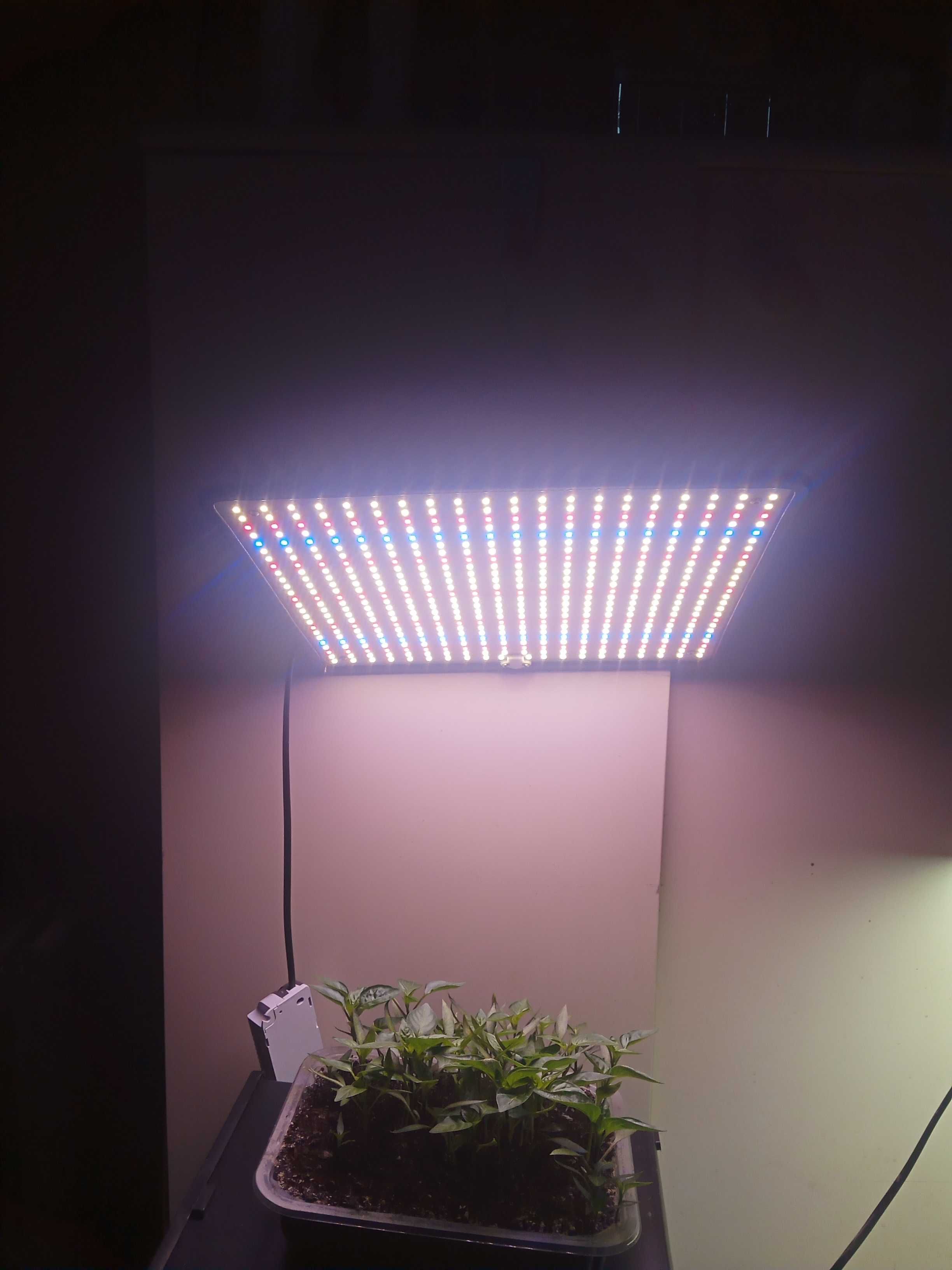 Growbox, namiot uprawowy 120x120x200 plus 6 lamp led