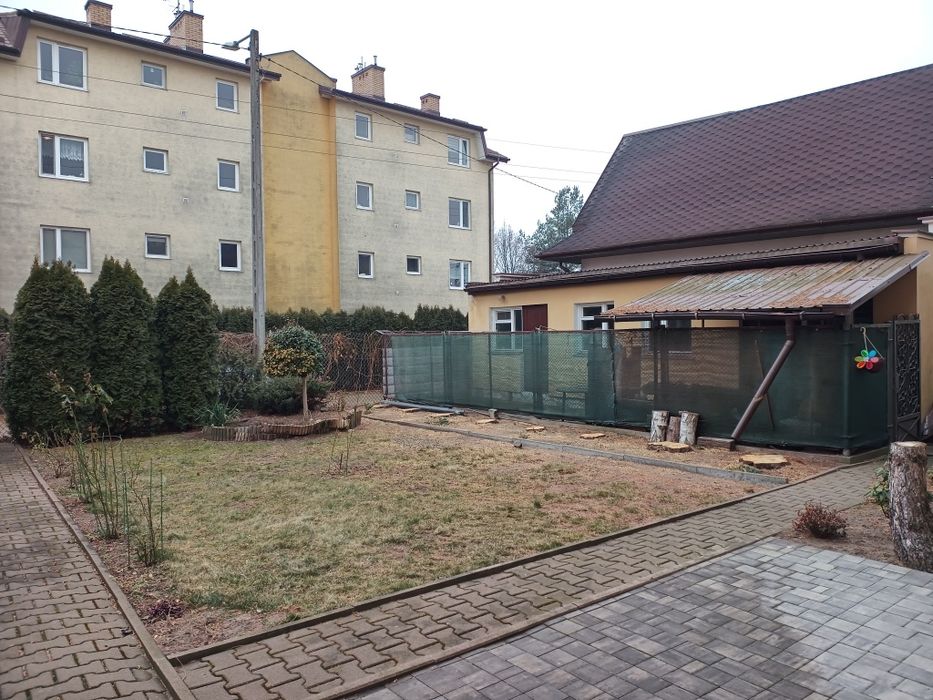 Cięcie drzew z podnośnika, żywopłotu, tui, wywóz gałęzi ,wertykulacja