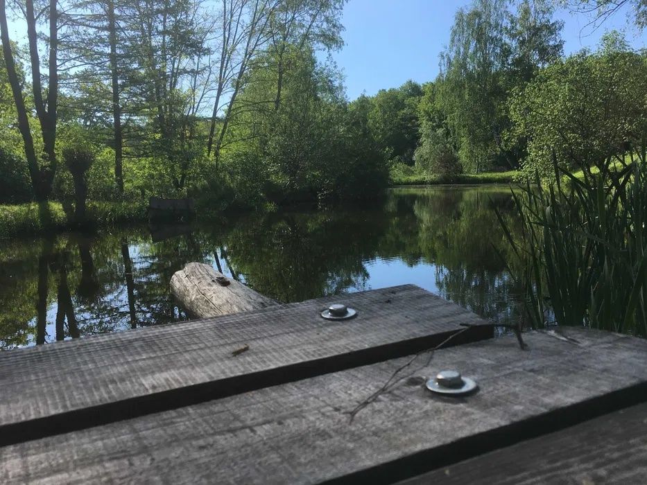 ЧАН-сауна / ХАТКА над озером / відпочинок будинок подобова оренда