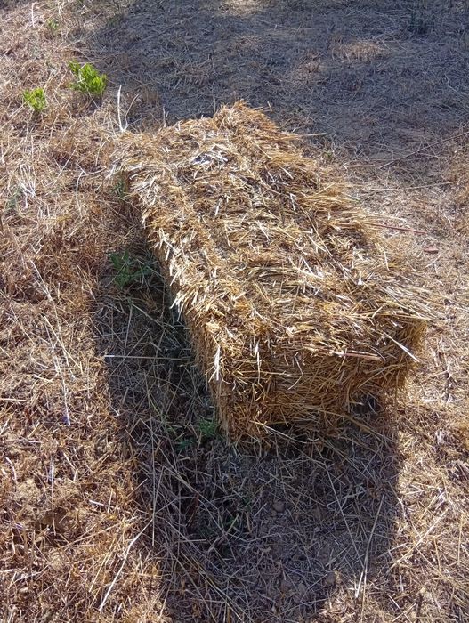 Vendo palha a 4€