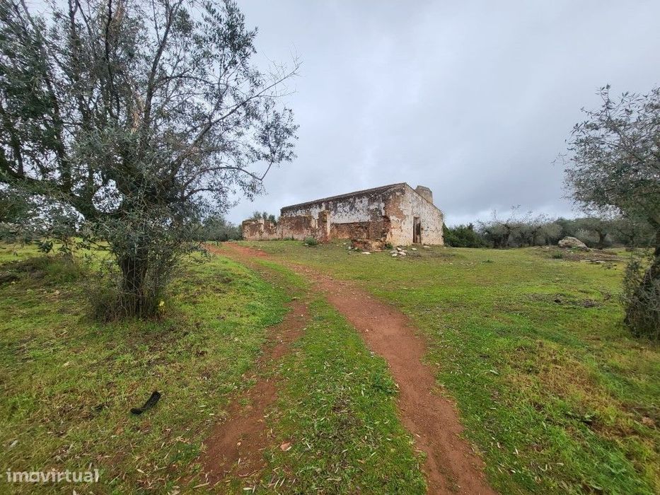 Terreno com 12,5 ha e ruína com 150 m2 perto de Vila Viçosa