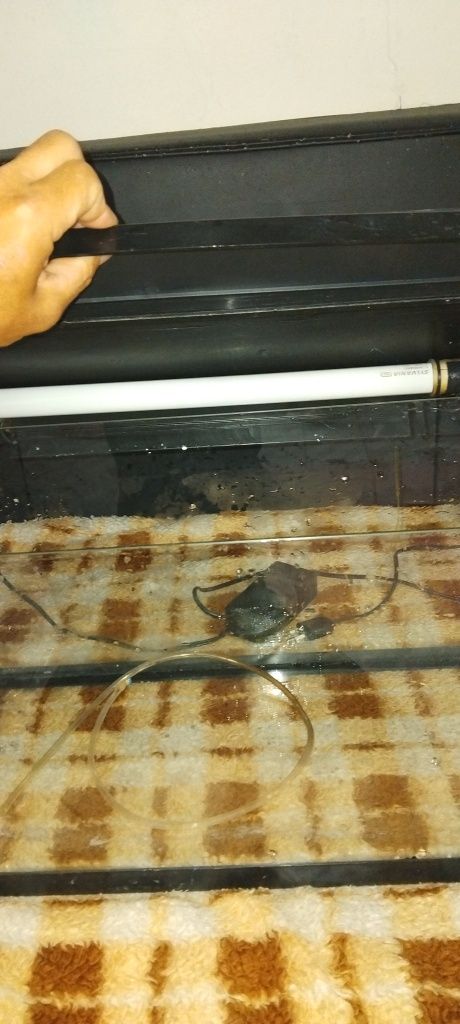 Vendo aquario de 30 litros 50×28×28 com lampada de urigem t5 30 euros
