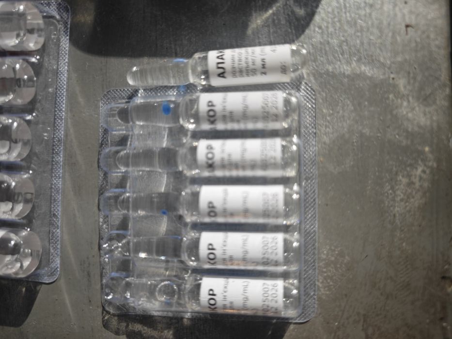 Алакор 6штук продам