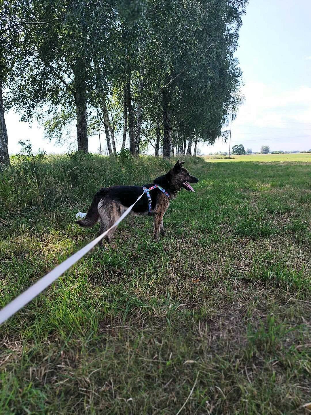 Kolejny rok bez domu. Dobry człowiek poszukiwany