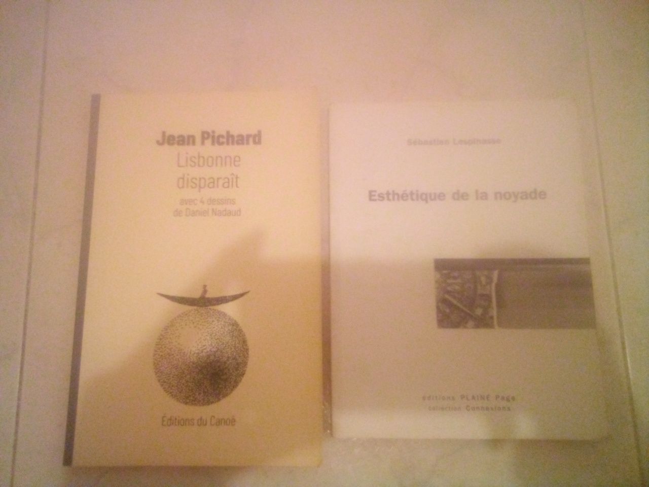 2 livros em Francês