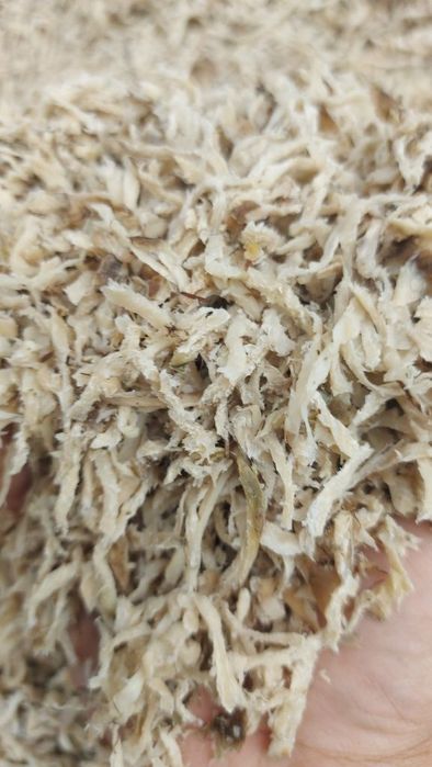 Wysłodki buraczane mokre