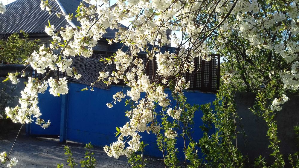 продаєм будинок із жилою літнєю кухнею