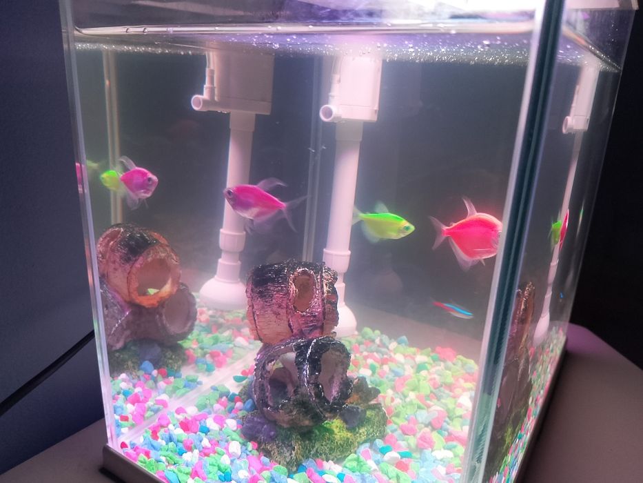 Akwarium na sprzedasz wszystko co na zdj w bardzo dobrym stanie jak no