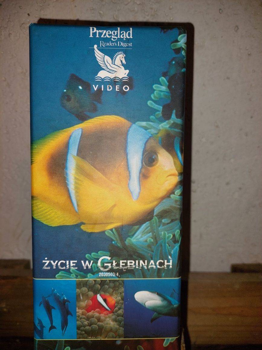 Kasety VHS życie w głębinach.