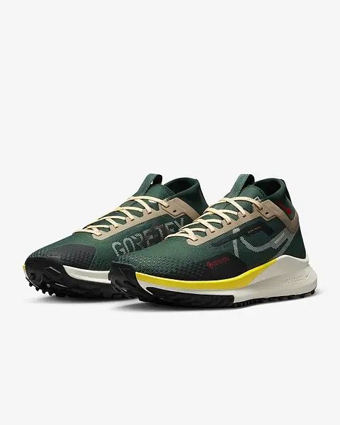 Кросівки Nike Pegasus Trail 4 GORE-TEX