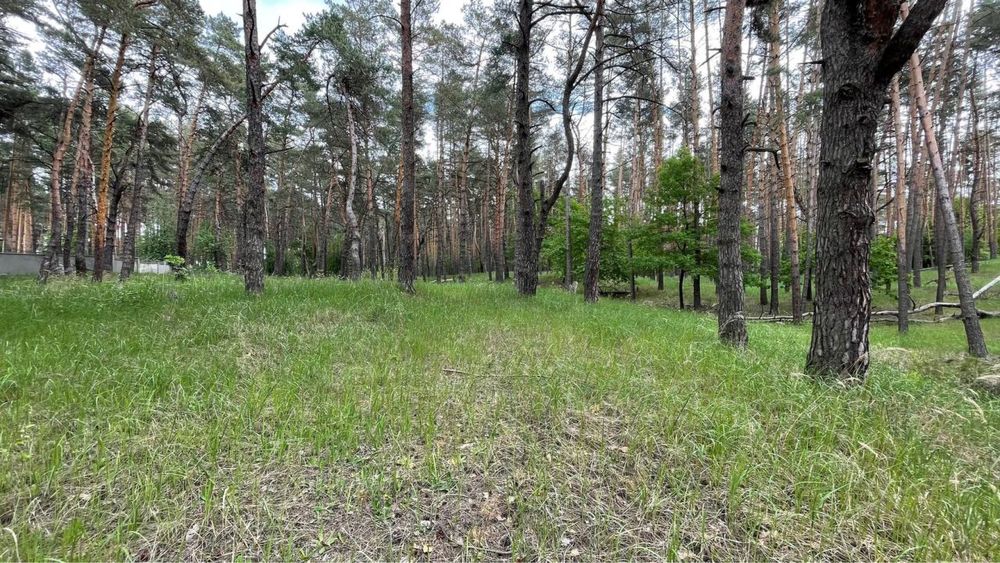 Продаж ділянки з сосновим лісом та виходом до річки Стугна та Дніпро
