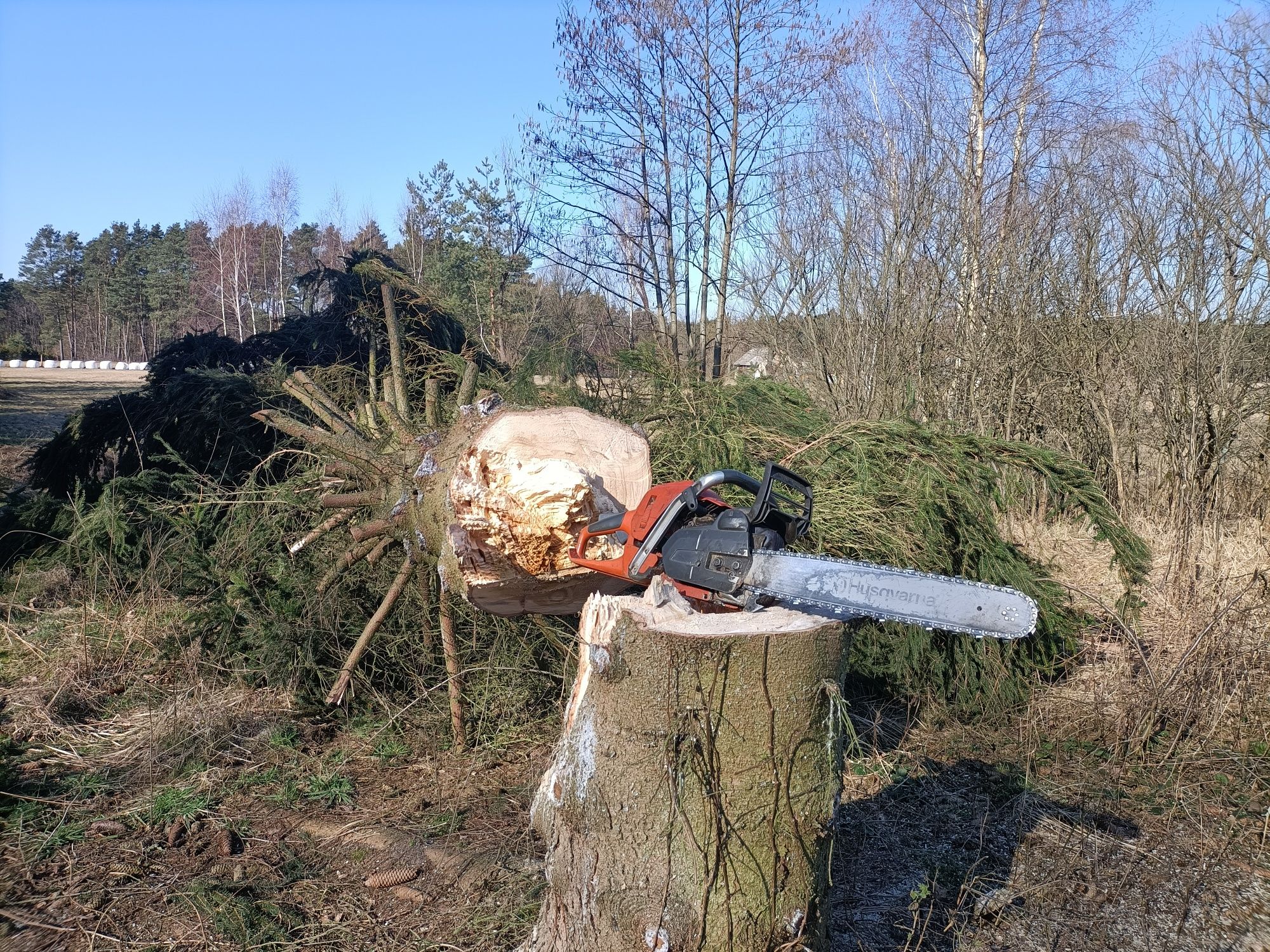 Przecinka/wycinka lasów  i dzialek zadrzew.usuw posuszu.Sycow,Kęp+50km