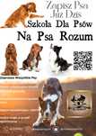 Behawiorysta  -Kalisz i okolice.