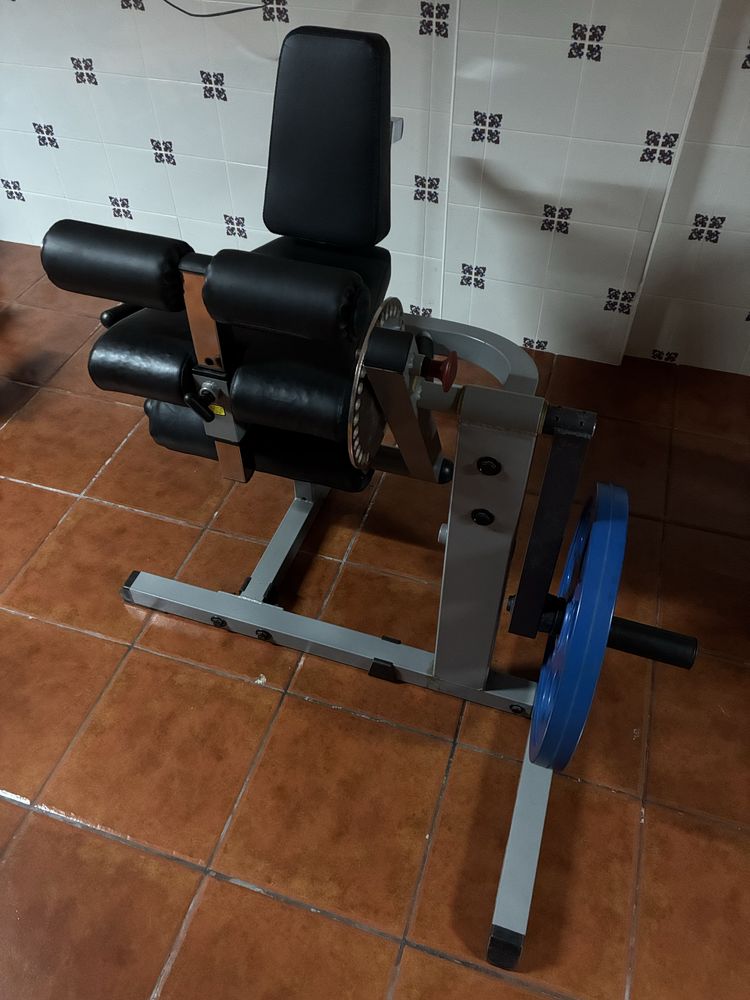 Leg curl/extension