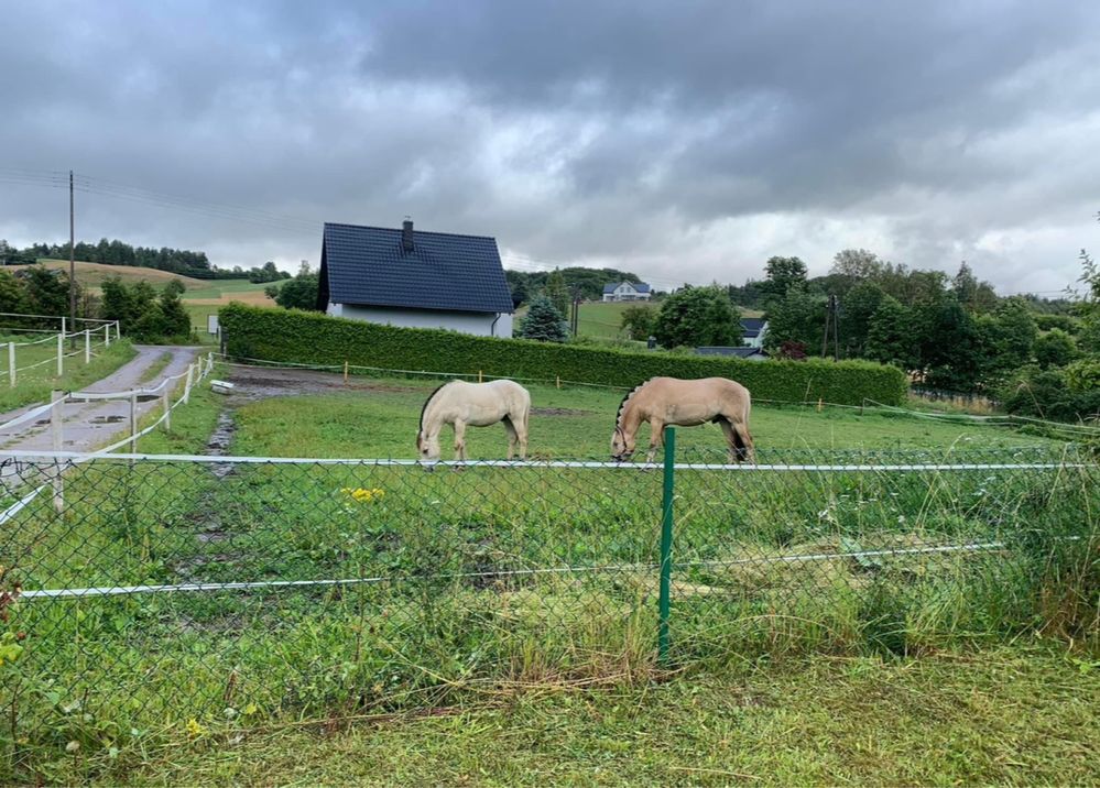 Domek nad jeziorem kaszuby