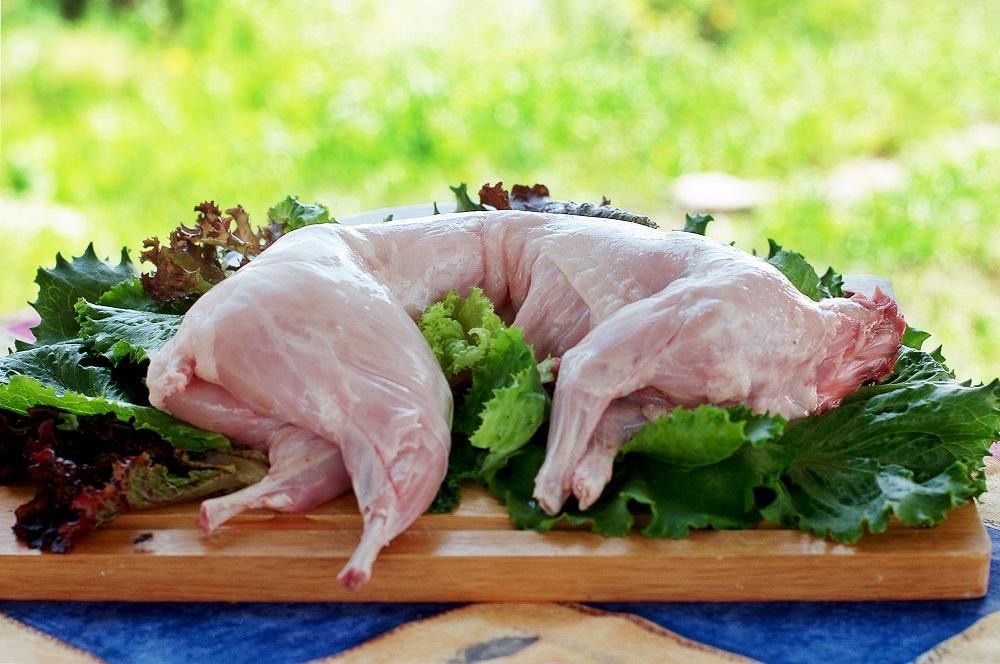 Продам кролики полтавське срібло. Ціна за живу вагу 200грн за 1 кг