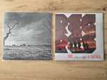 Regres hardcore punk vinyl