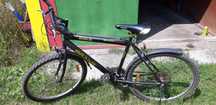 Rower gold grand