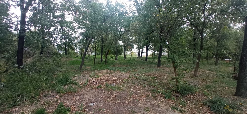 Земельна ділянка в с. Червона Слобода