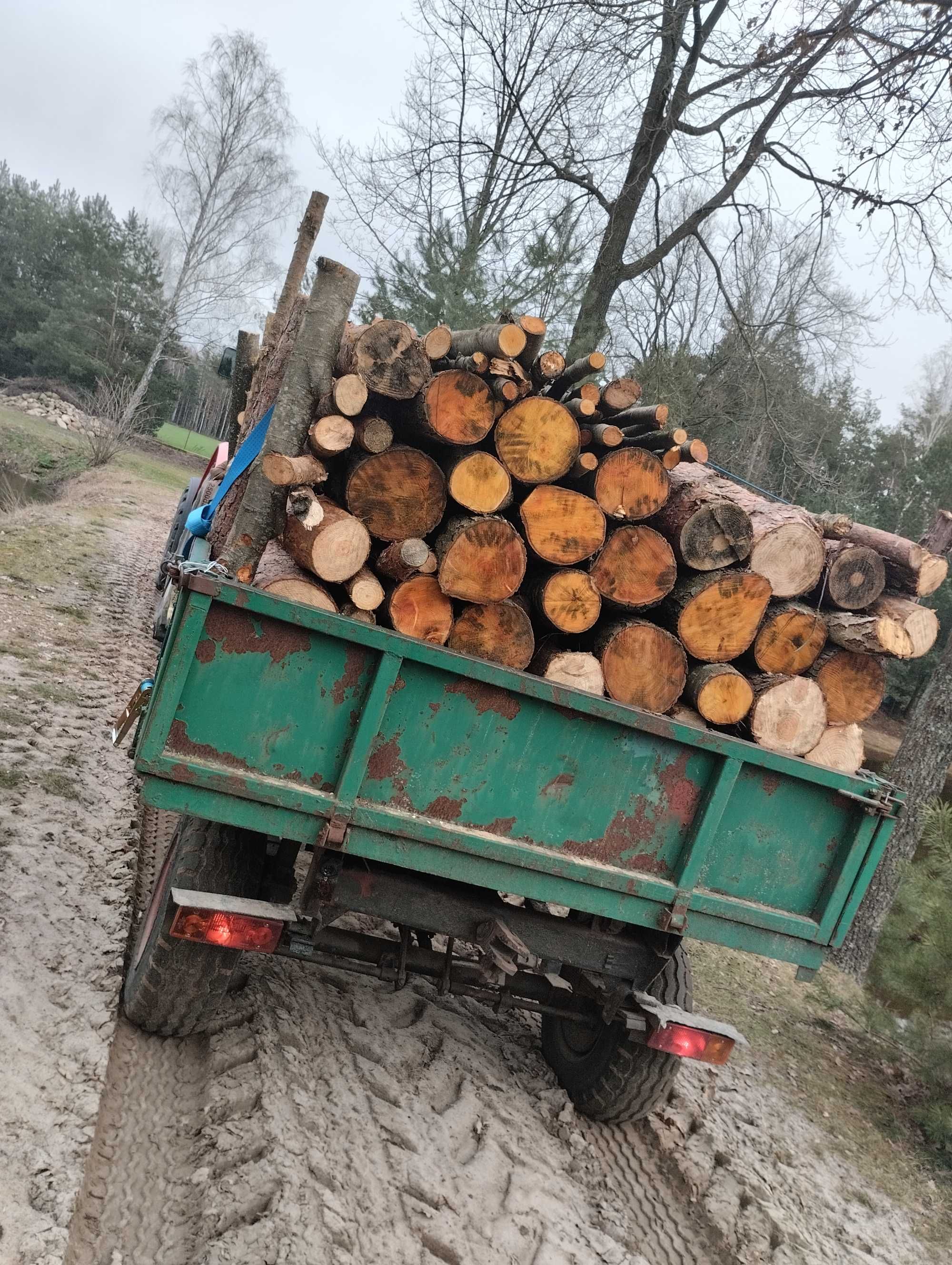 Drzewo opałowe cięte na wymiary z transportem