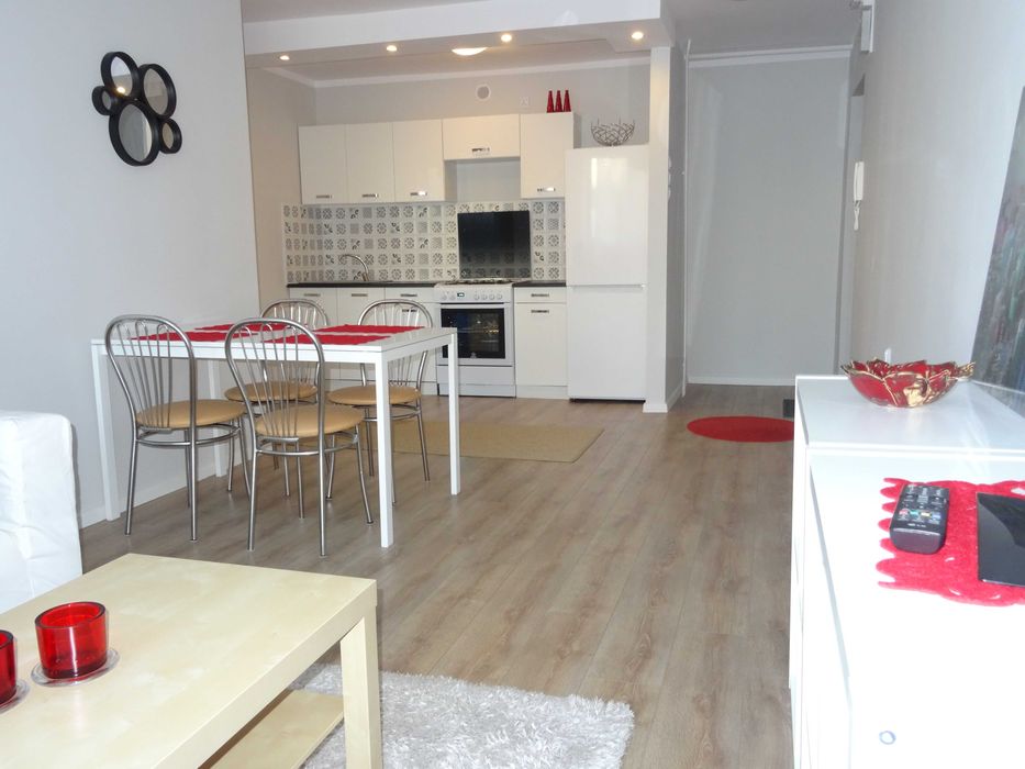 Wynajem mieszkanie 2 pokojowe Po REMONCIE/ Zielona Góra /od 01.01.26/