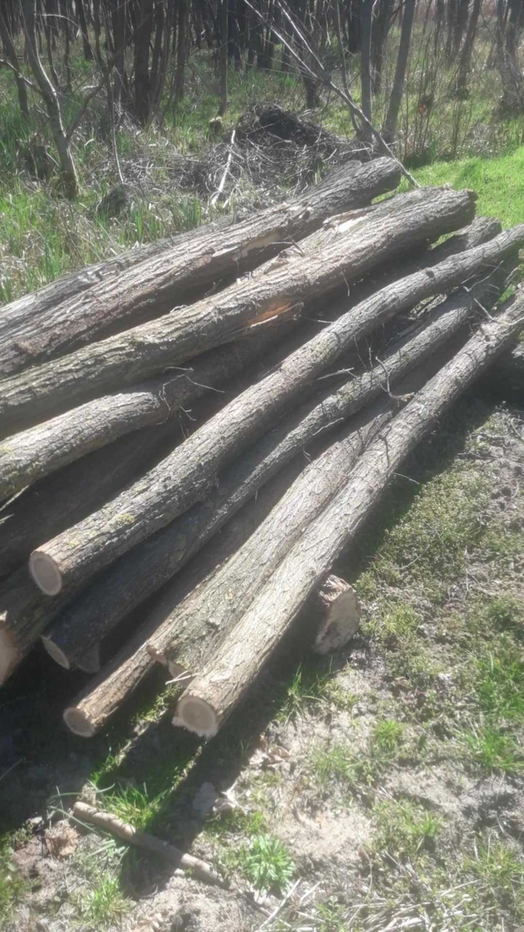 Słupki ogrodzeniowe akacjowe