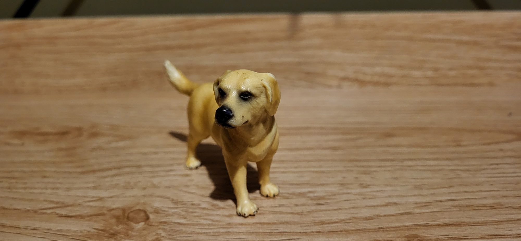 Schleich pies labrador figurki model wycofany z 2001 r.