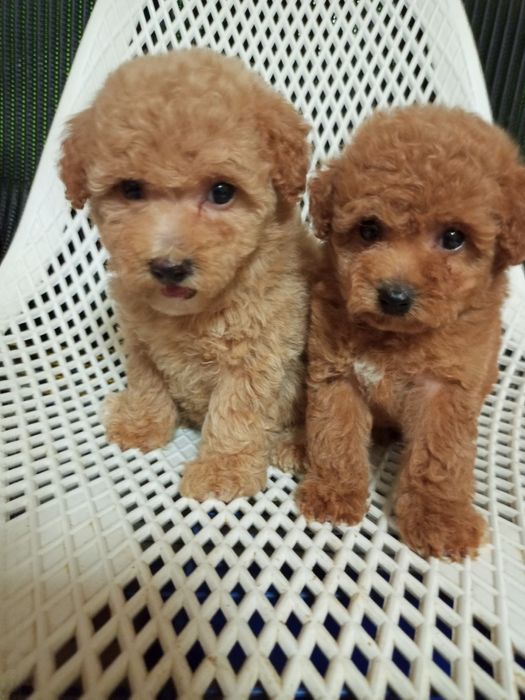 Для душі,рахат- лукумчік!!!