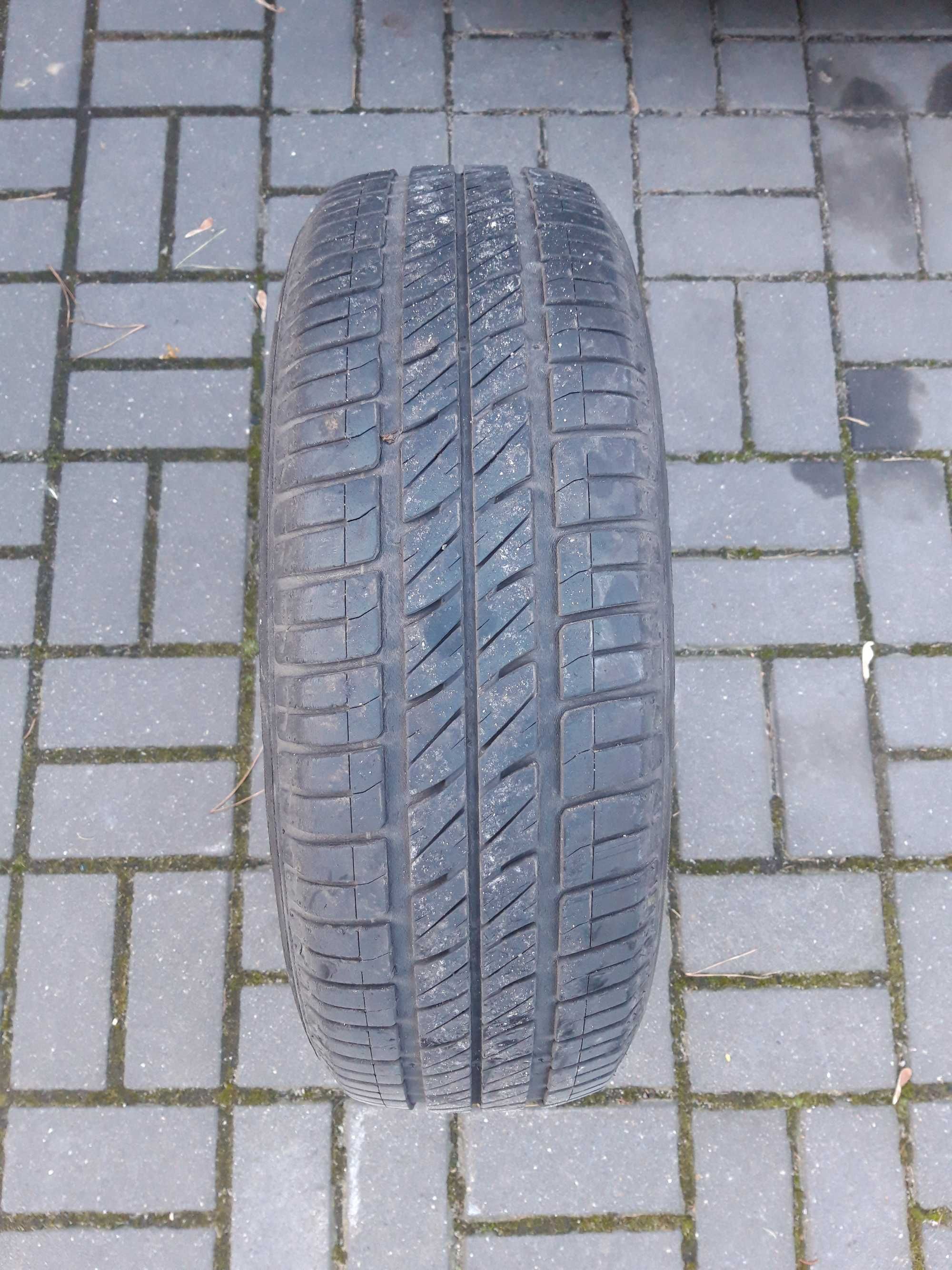 Sava Perfecta 175/65R14