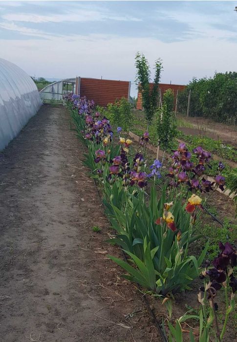 Срочно.Продам дом Одесская обл.240м.кв+агробизнес