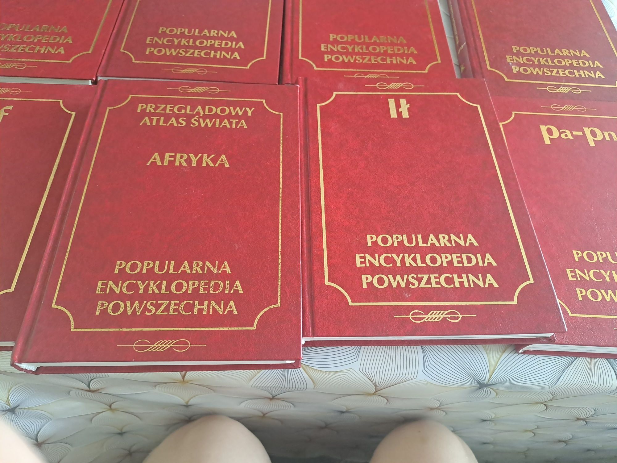 Popularna Encyklopedia Powszechna