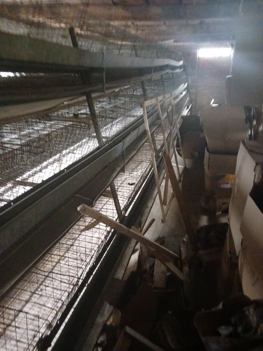 Пропонуємо до продажу гарний будинок з бізнесом