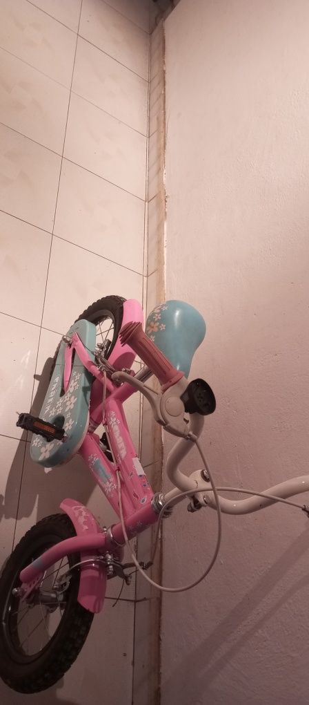 Bicicleta até aos 5 /6 anos  dependendo da altura da criança