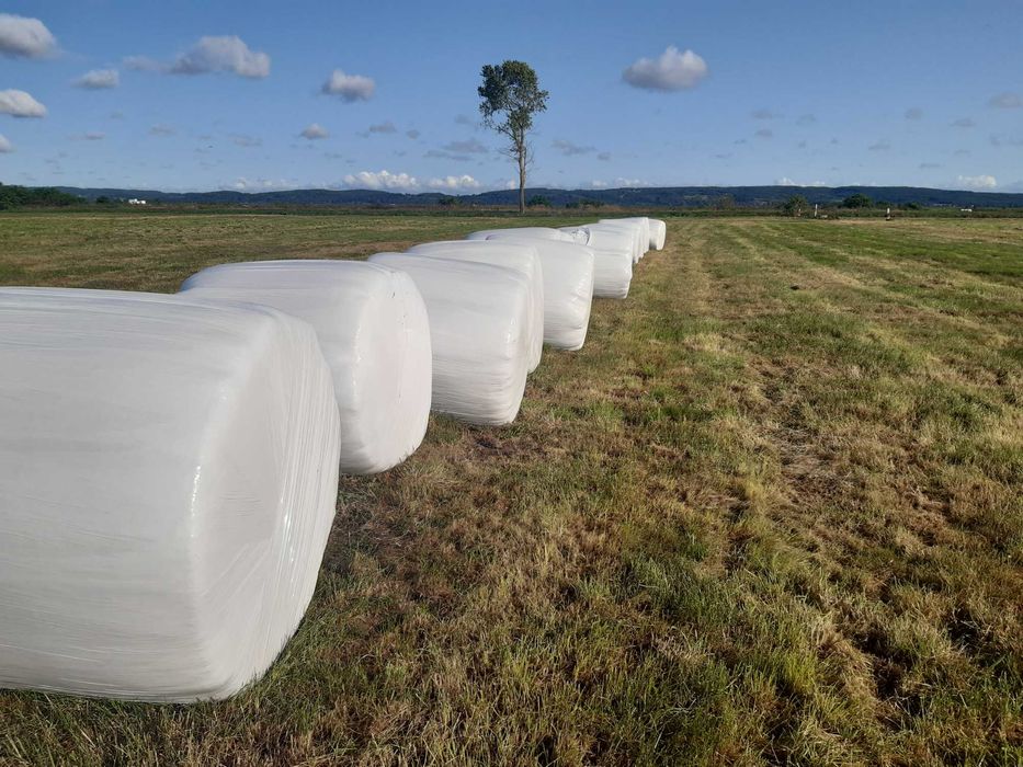 Sianokiszonka średnica 125 drugi pokos zbita dobry towar