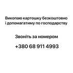 Допоможу безкоштовно