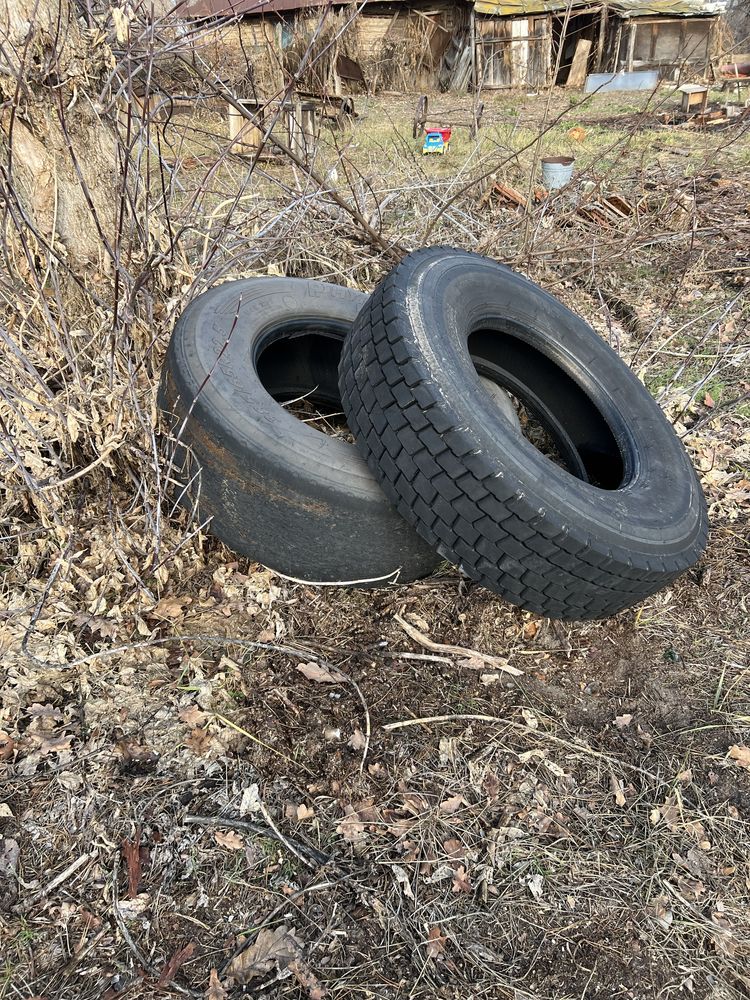Віддам безкоштовно шин.