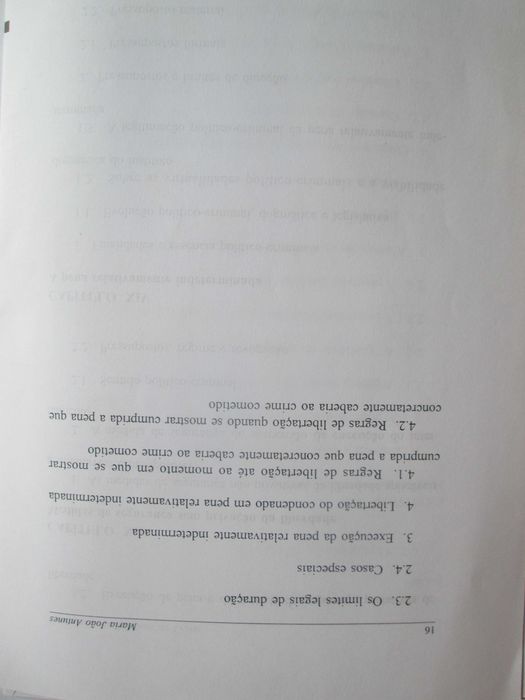 Consequências Jurídicas do Crime, de Maria João Antunes