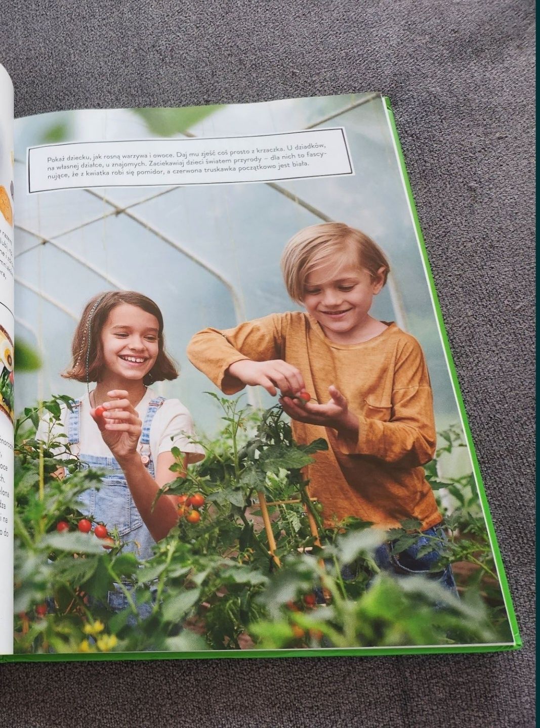 Książka z przepisami na zdrowe odżywianie  Tanio