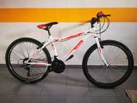 Bicicleta Montanha Sport Team Speed Nova