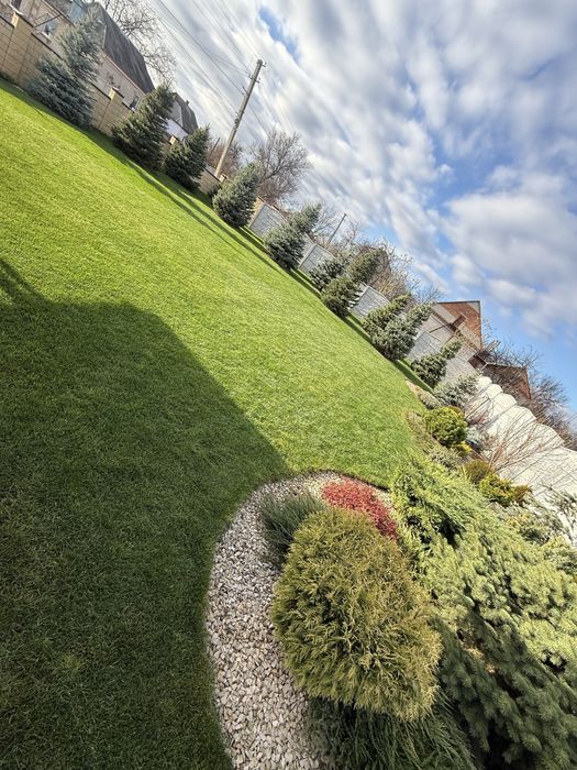 Дом в Краснополье . Аренда дома