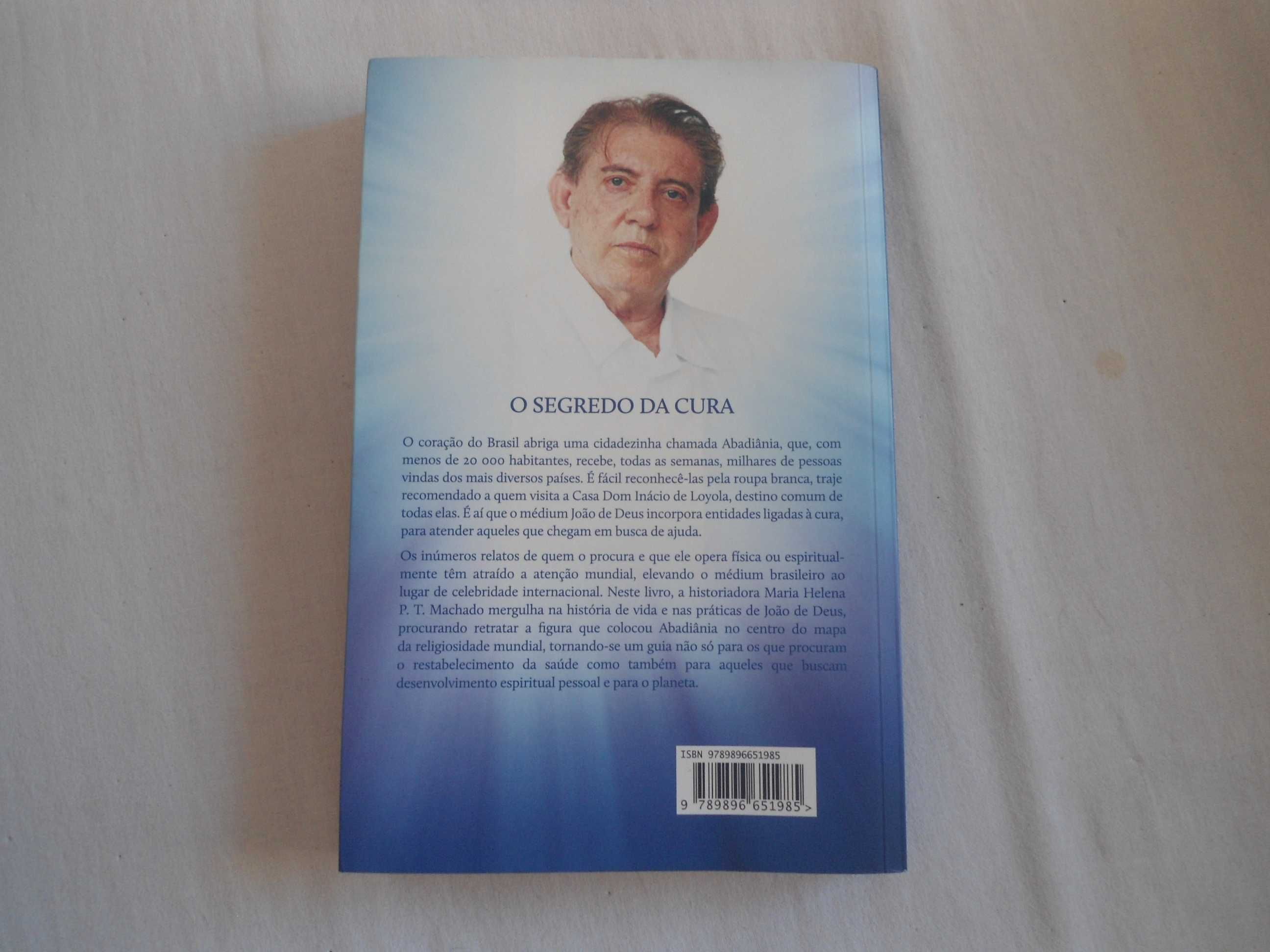 O Segredo da Cura por Maria Helena P T Machado