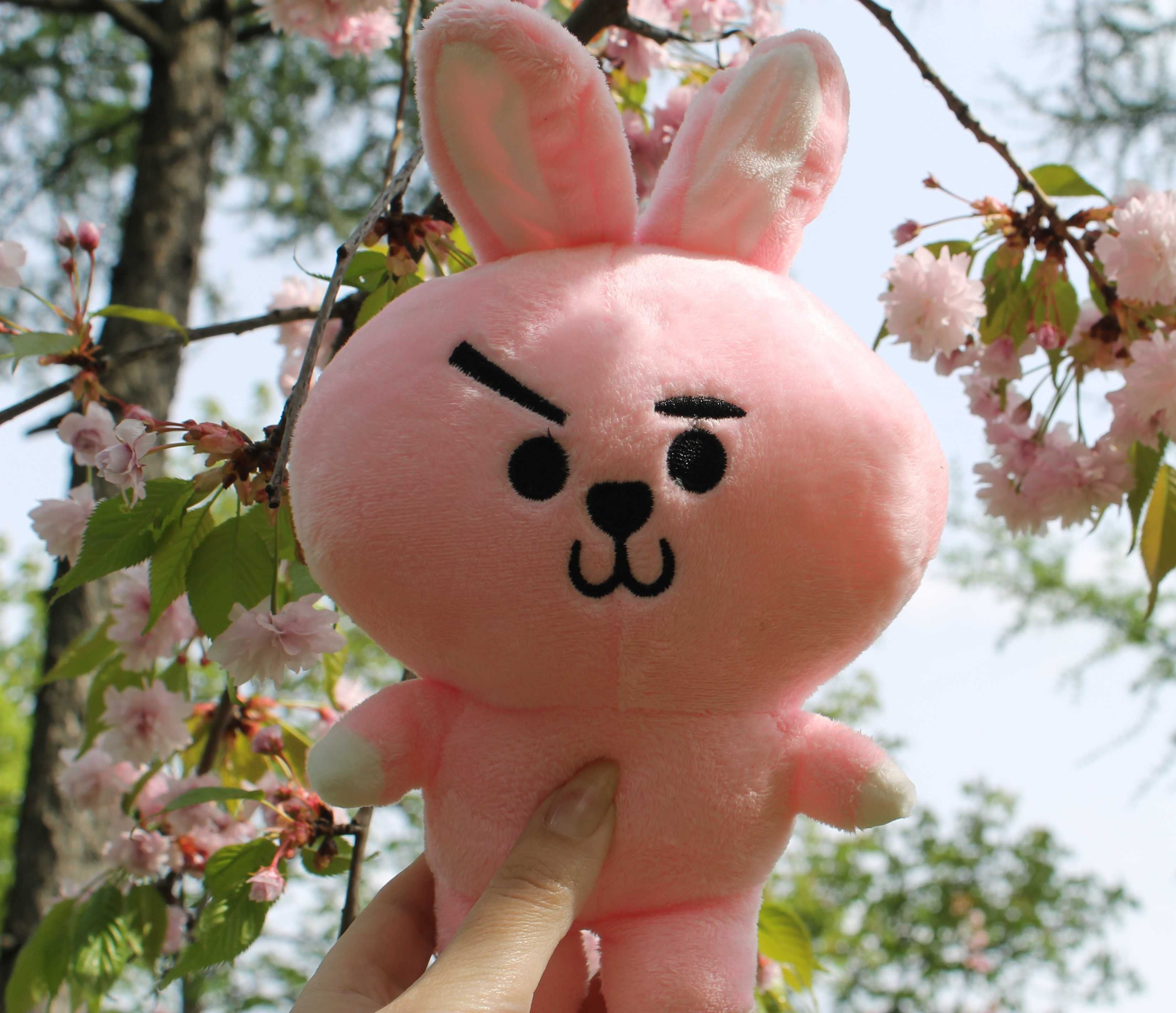 Іграшка мʼяка  Cooky Персонаж Чонгука BTS , BT21 Кукі, Куки