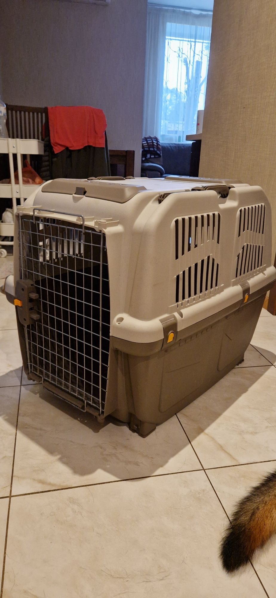 Контейнер-переноска для собак вагою до 35 кг Trixie «Skudo 5» 59 x 65