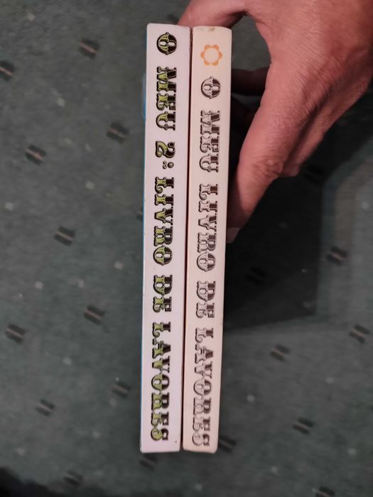 O Meu Livro de Lavores - 2 Volumes